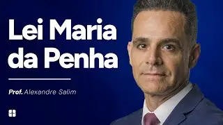 Lei Maria da Penha | Prof. Alexandre Salim