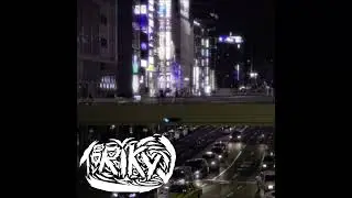 TORIKYU NIGHT CITY polypolypoly