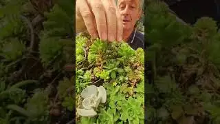 Cuvarkuca - Sve o Cuvarkuci