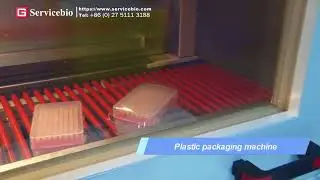 The real factory production scene, pipette tips.