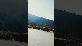 Beauty of Shimla 🤷🎊🙋#comedy #funny #viral #shorts #youtubeshorts #nature #travel