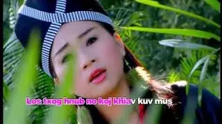 New  hlub mus tsis kawg- Dej ntxhee thoj 2015-2016