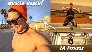 Fitness Life アメリカ LA Fitness→マッスルビーチ【筋トレ】
