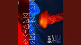 Organic Electronic