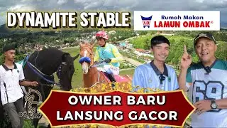 🔴 RM LAMUN OMBAK. Owner Baru Kuda Pacu Lansung Gacor. Lansung Beli 3 Ekor Kuda DYNAMITE STABLE 