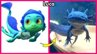 🌊 Disney Luca 🔥 Real Life