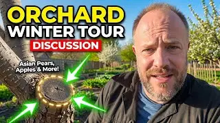Live Winter Chaos Garden Tour