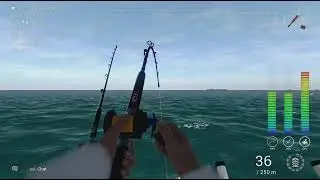 Fishing Planet - Trophy Striped Marlin