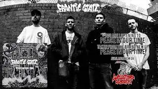 FRANTIC STATE - PEACE IN OUR TIME (OFFICIAL AUDIO)