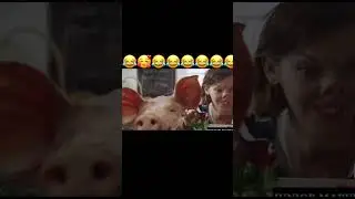 Funny encounter at a butcher shop leaves woman snorting like a pig#comedy #butchershop