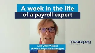 A week in the life of a payroll expert