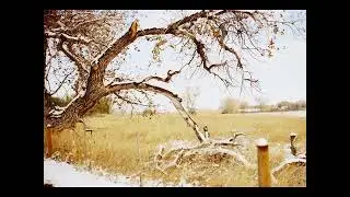 Zad World (Acoustic Piano)