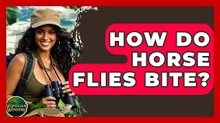 How Do Horse Flies Bite? - Reptilian Wonders