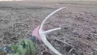 2019 Shed Hunting in Wisconsin!