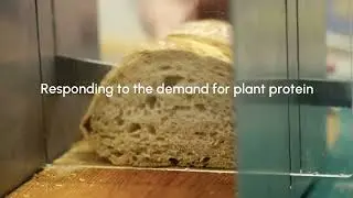 Planet Shapers- responding to the demand for plant protein