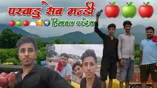 Himachal Pradesh Apple 🍎 Mandi parvanu 
