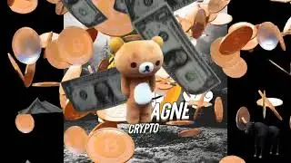 POLYQUITY AQUARIUS ZOO COIN FANTOM MATIC AND MORE