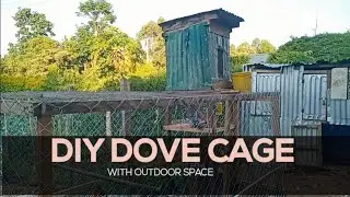 DIY DOVE CAGE BUILD | building a dove cage on a budget
