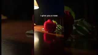 I give you a rose  /  Taka Space