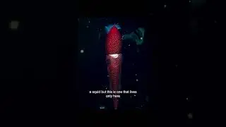 The Twilight Zone, also known as the mesopelagic zone, is a region in the ocean between 200