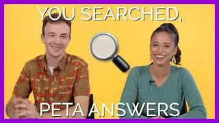 PETA Answers The Internet&rsquo;s Most Perplexing Questions About Animals