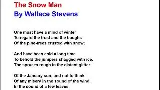 The Snow Man by Wallace Stevens Line by Line Hindi Explanation
