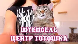 Штепсель из центра Тотошка г. Ростов-на-Дону. The Alice Twins #50