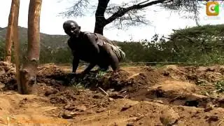 Samburu Pastoralists Resort To Farming
