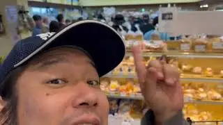 久々のVlog！キャンプとひまわり市場
