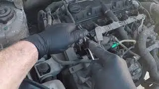 Bruit moteur cot&eacute; distribution +  remplacement  du kit distribution  sur Berlingo 2l HDI