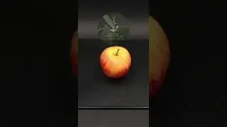 171-Day Apple Tree Growth Time-Lapse: Seed to Sapling 🌱🍎 #trendingshorts #viralshorts