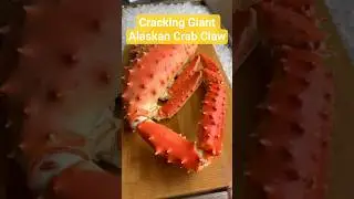 Cracking Giant Alaskan Crab Claw - Most Satisfying CRACK Sound!#AlaskanCrab #KingCrab #CrabASMR