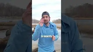 Как ловить речного сома: советы и рекомендации по поиску мест обитания сома: оснастка для ловли с...