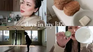 productive vlog!: back to school, trader joe's grocery haul, newborn station in our nyc apartment
