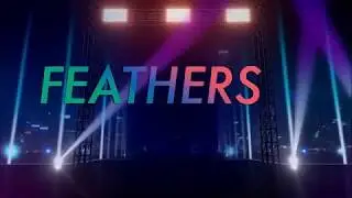 Feathers Academy - Nanganallur Sandy Master Dance Studio