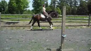 Kieran - right lead canter