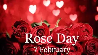Rose day status for whatsapp- 7 February status- rose day status- valentine week status -#shorts