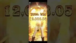 Wild bounty showe down big win maga win 