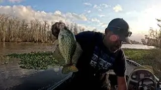 Blind River Crappie