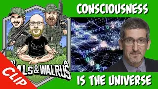 Consciousness is the Fabric of the Universe - Dr. Neil Theise