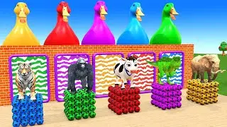 Long Slide Game With Cow Elephant Gorilla Hippopotamus Tiger 3d Animal Game Funny 3d Animals