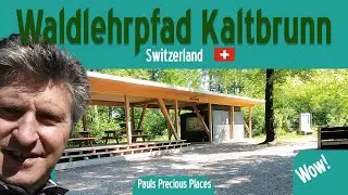Natur pur! - Waldlehrpfad Kaltbrunn-Benken