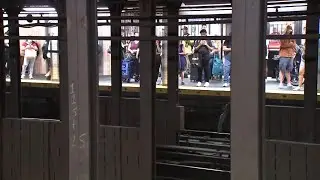 Train service resumes after dog on subway tracks prompts delays