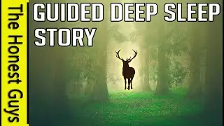 УПРАВЛЯЕМАЯ МЕДИТАЦИЯ ДЛЯ СНА. ИСТОРИЯ 