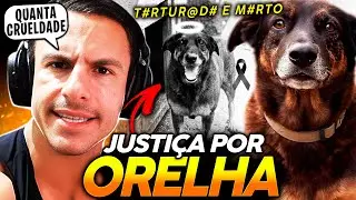 SUPER XAND&Atilde;O SE REVOLTOU REAGINDO ao CASO do C&Atilde;O ORELHA - F