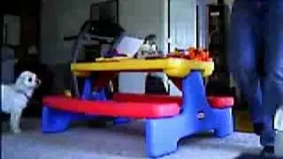 Toddler Tunes - Cat