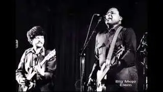 Big Mojo Elem - Mojo Boogie