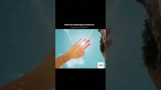 This Video is Presented Especially for Sensitive People || Allah Ka Tohfa 🌸 #dailydosepk#motivation