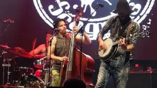 Steve 'n' Seagulls - Thunderstruck - live