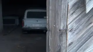 Москвич 2136 долго стоял в гараже.